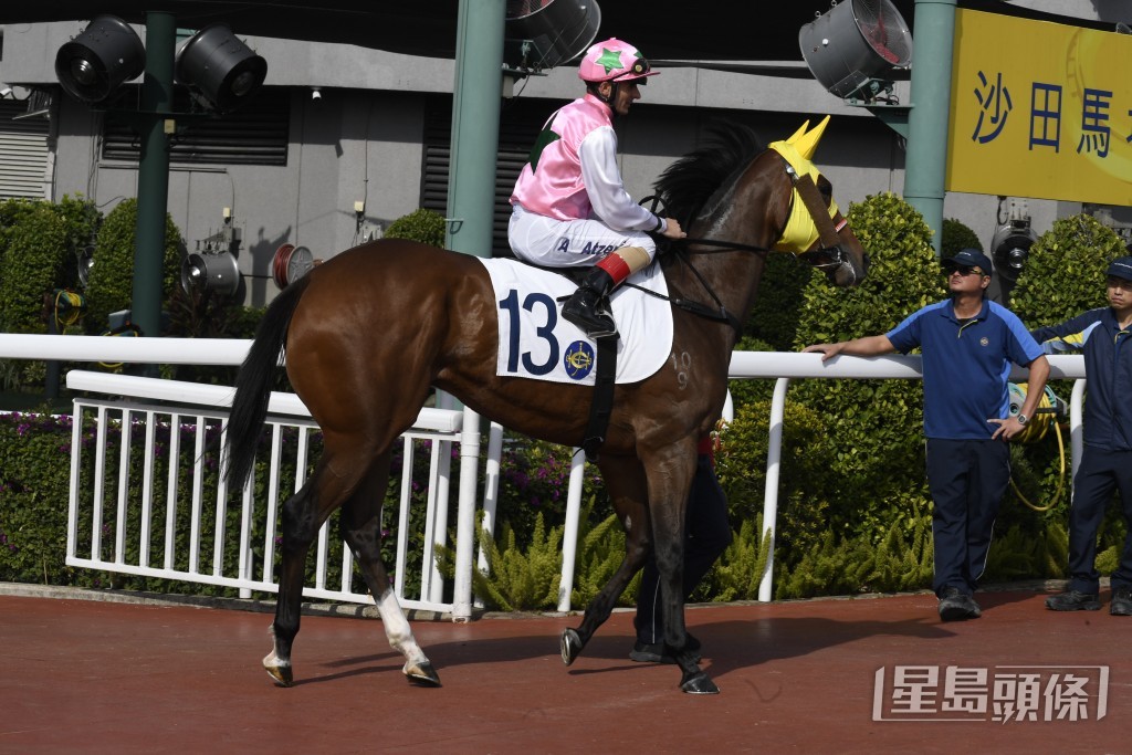 「幸運芙蓉」有機會補中贏馬。