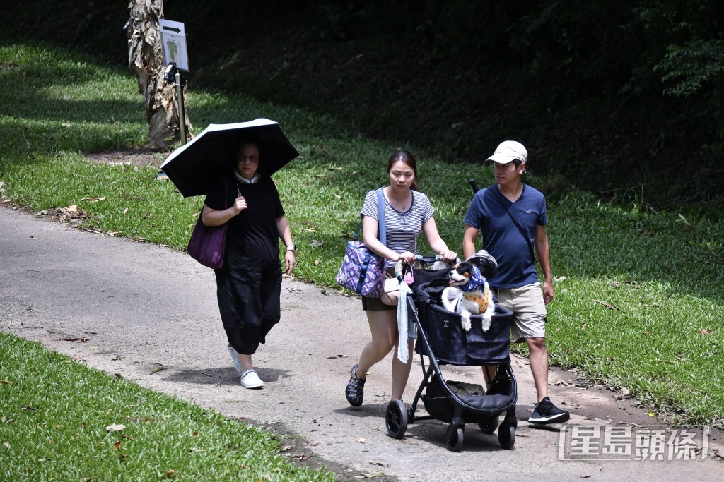 有市民到场散步。陈极彰摄