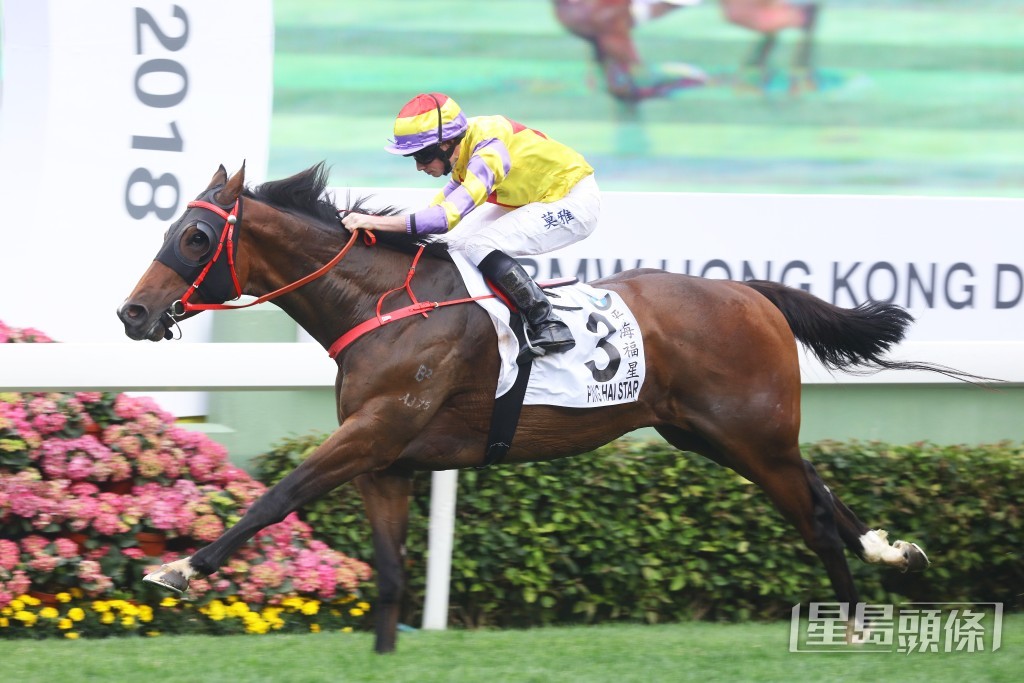 莫雅揚威2018年香港打吡大賽。 莫雅揚威2018年香港打吡大賽。