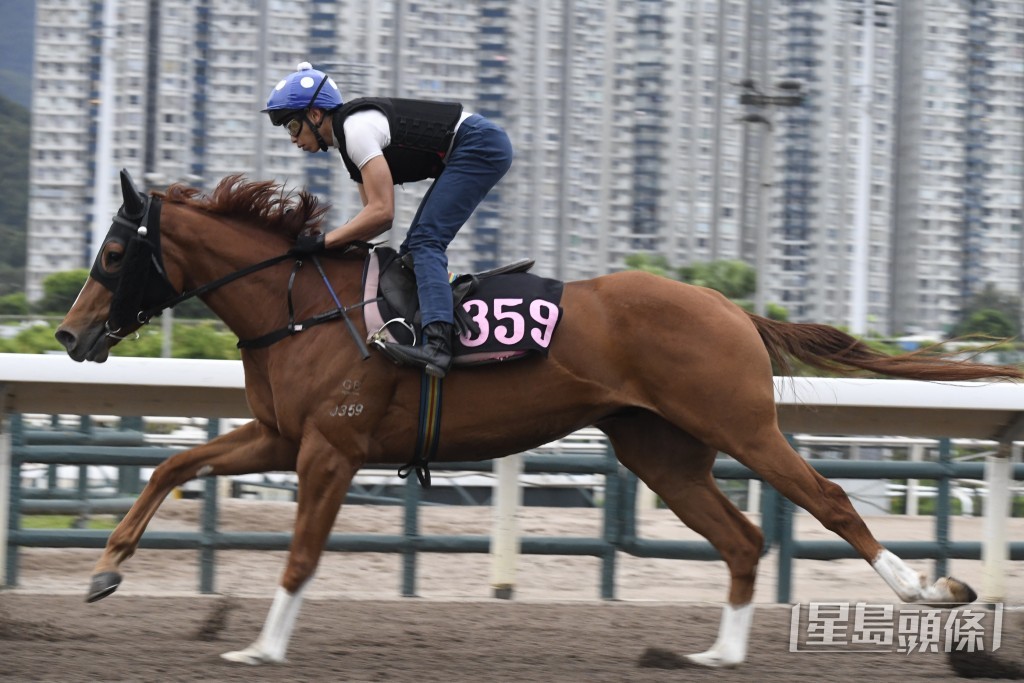 「天下寵兒」走勢爽朗表現淡定，進度理想。