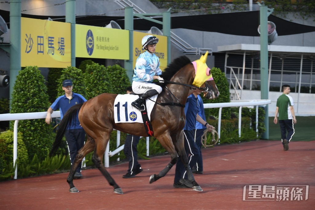 「瑰丽人生」今次列阵其曾上名路程，排在四档有利取位，有力争取胜利。
