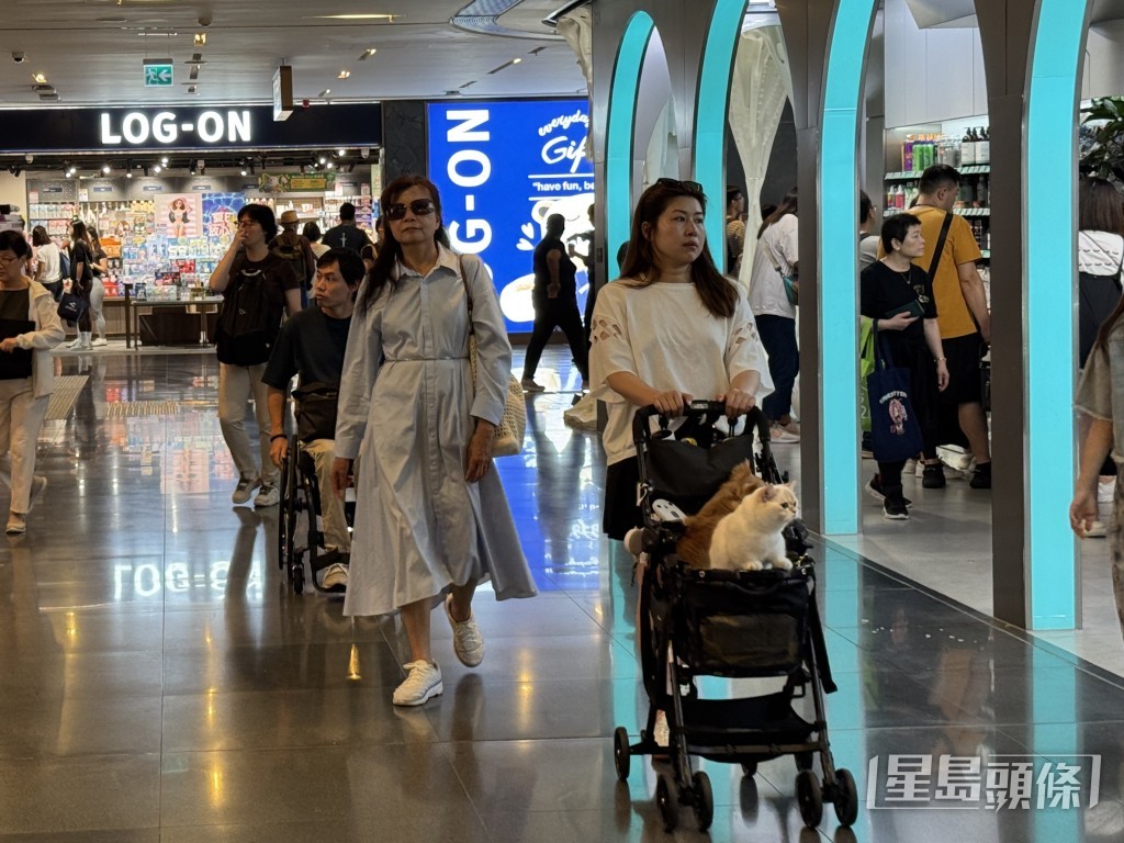 政府放寬狗隻進入獲批准食肆的措施將於7月9日生效,首批約900間食肆已完成相關手續。 政府放寬狗隻進入獲批准食肆的措施將於7月9日生效,首批約900間食肆已完成相關手續。