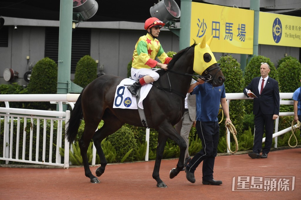 「太陽勇士」爭取今季第四場頭馬。