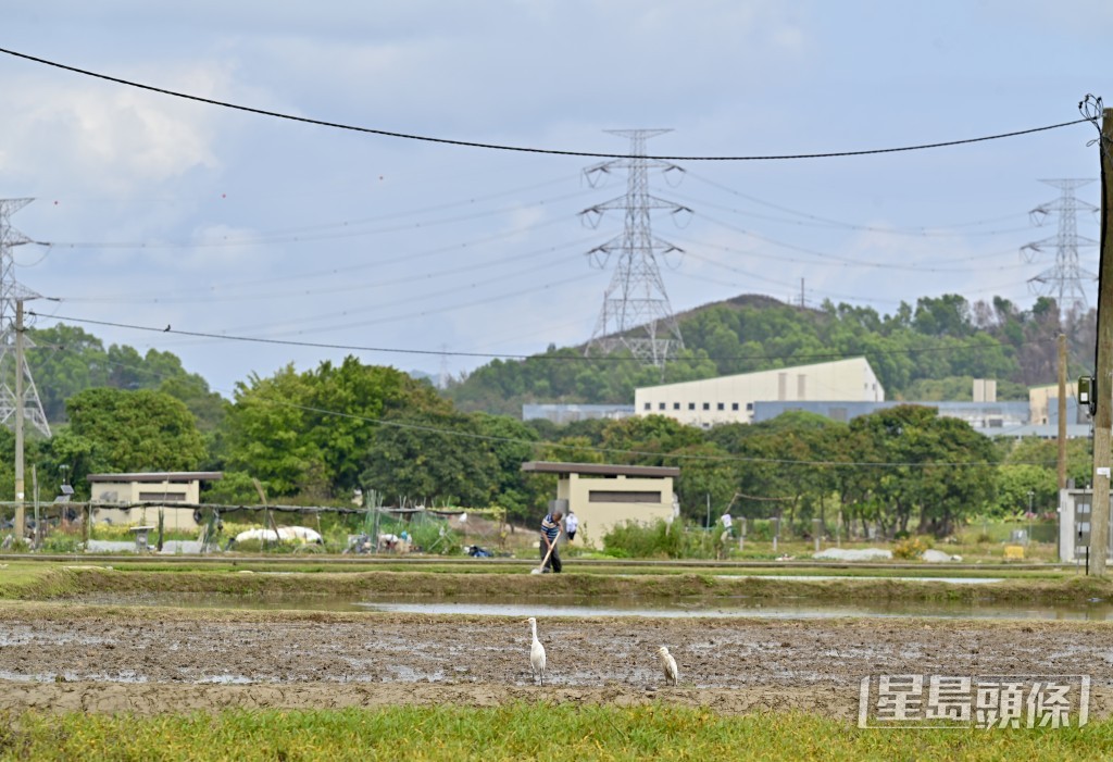 新田科技城分區大綱草圖獲行政長官及行會核准。資料圖片