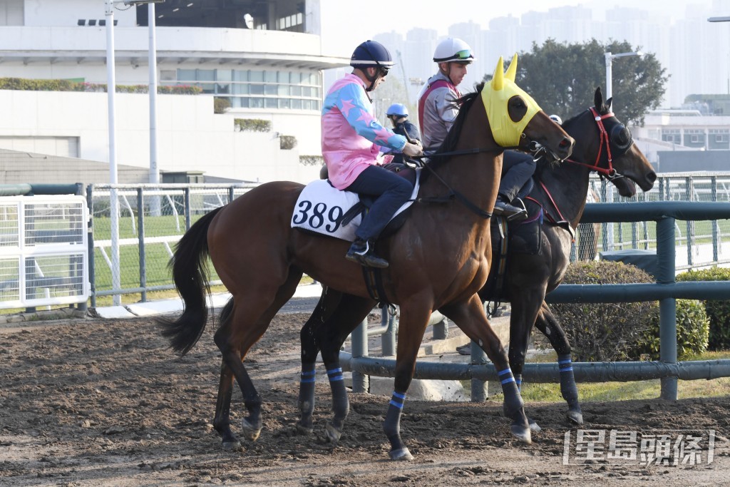 「源好運」身色都靚外觀好睇，力度不斷增強。