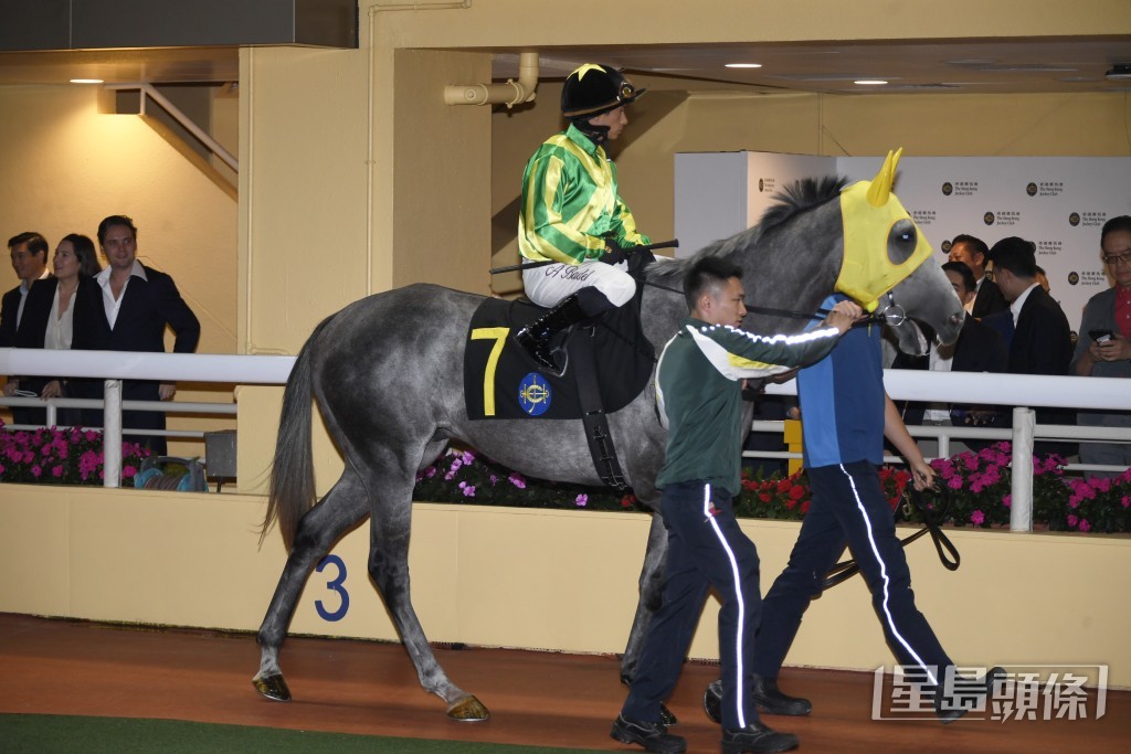 「爱心波」将出争本周日沙田第七场四班千四米。