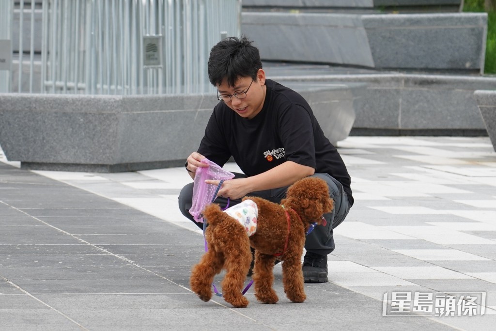大多狗主均會盡責處理愛犬的排泄物。葉偉豪攝 大多狗主均會盡責處理愛犬的排泄物。葉偉豪攝