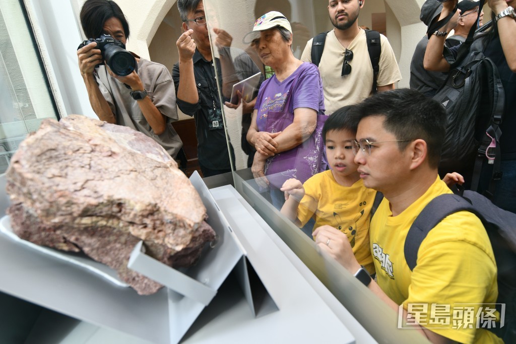 巿民參觀香港首枚恐龍化石。