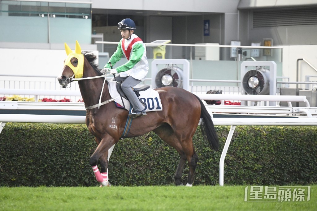 馬主蕭煒忠希望「寶成智好」在港初出有接近的表現。