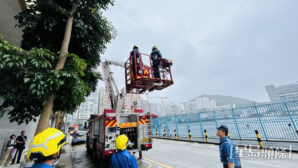 消防架起升降台救下小燕子。蔡楚輝攝 消防架起升降台救下小燕子。蔡楚輝攝