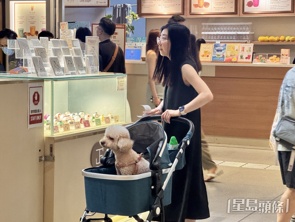 政府放寬狗隻進入獲批准食肆的措施7月9日生效。 政府放寬狗隻進入獲批准食肆的措施7月9日生效。