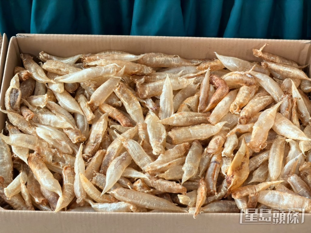 行動中檢獲一批花膠。梁國峰攝 行動中檢獲一批花膠。梁國峰攝