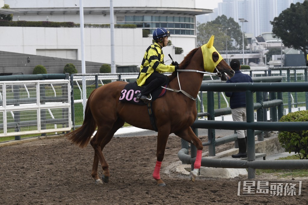 「得道猴王」力度依然充沛，神態活躍。