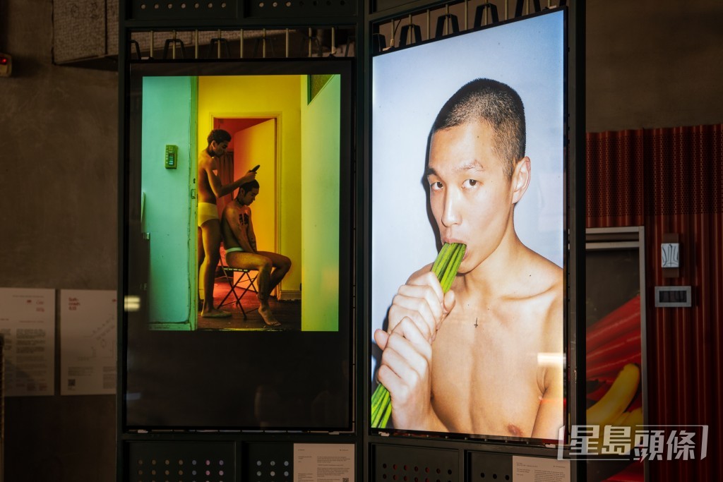 用光怪陸離的照片展現「酷兒」及跨性別身份的生活經歷。 用光怪陸離的照片展現「酷兒」及跨性別身份的生活經歷。