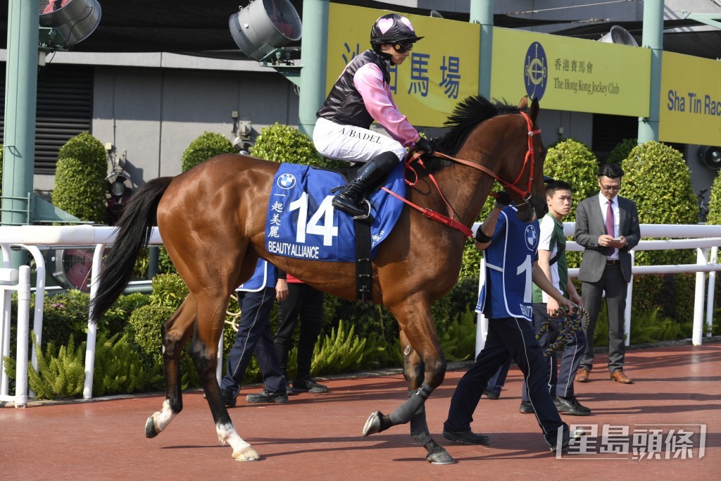 「一起美麗」今次小休復出跑千四米，爭取今季第四場頭馬。