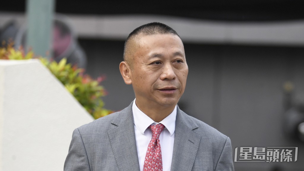 今朝沈集成今朝一度捉住潘顿密斟。