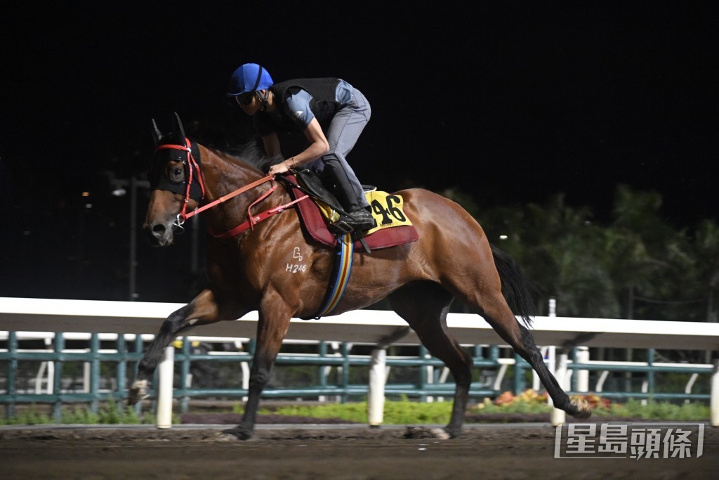 「包裝伯樂」近日出試時健步如飛，贏開之馬氣勢十足。