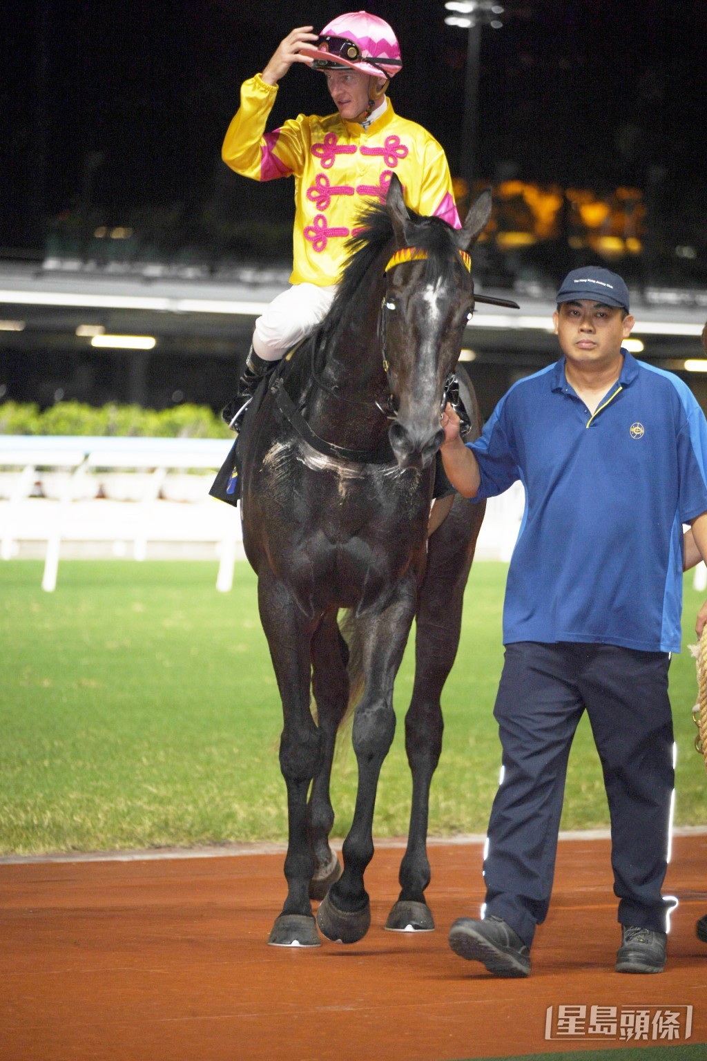 「渡月橋」早前由田泰安策騎試閘，輕鬆以第二名過終點。