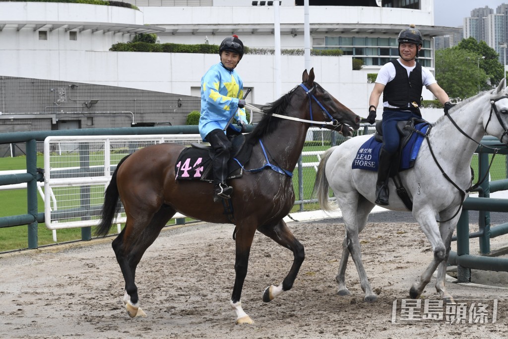 「夢幻駿駒」今次跑番千二路合馬勇，有力贏番場。