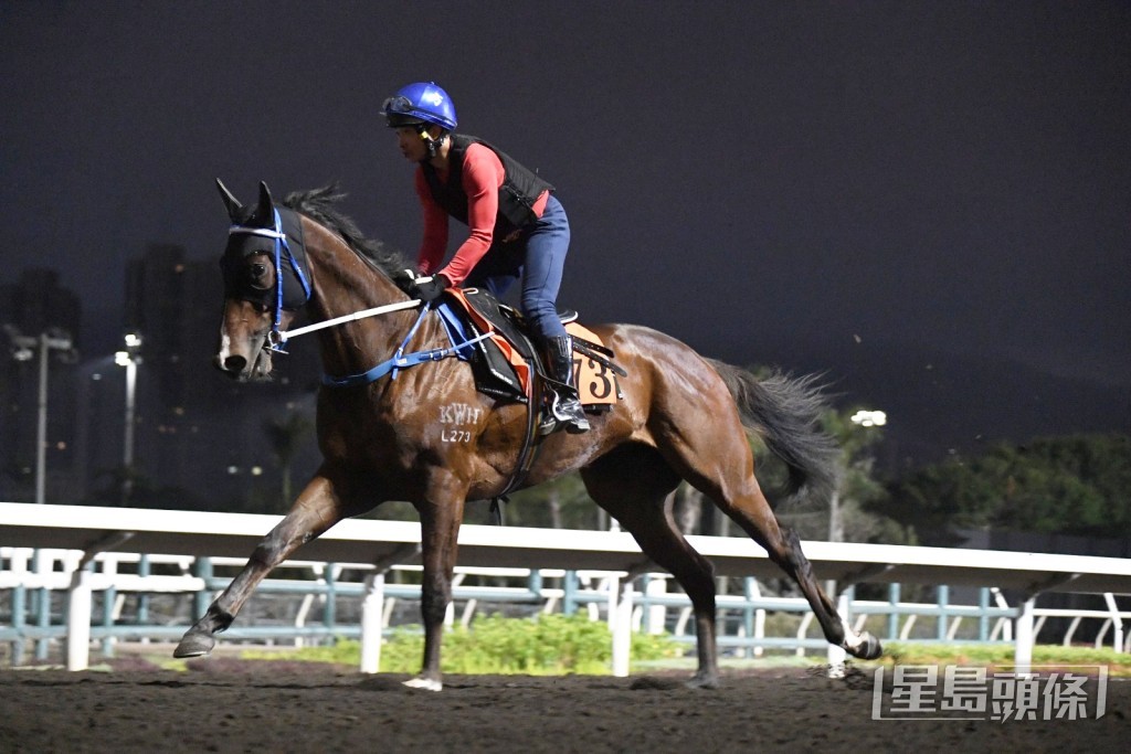 「日日賞」 「日日賞」