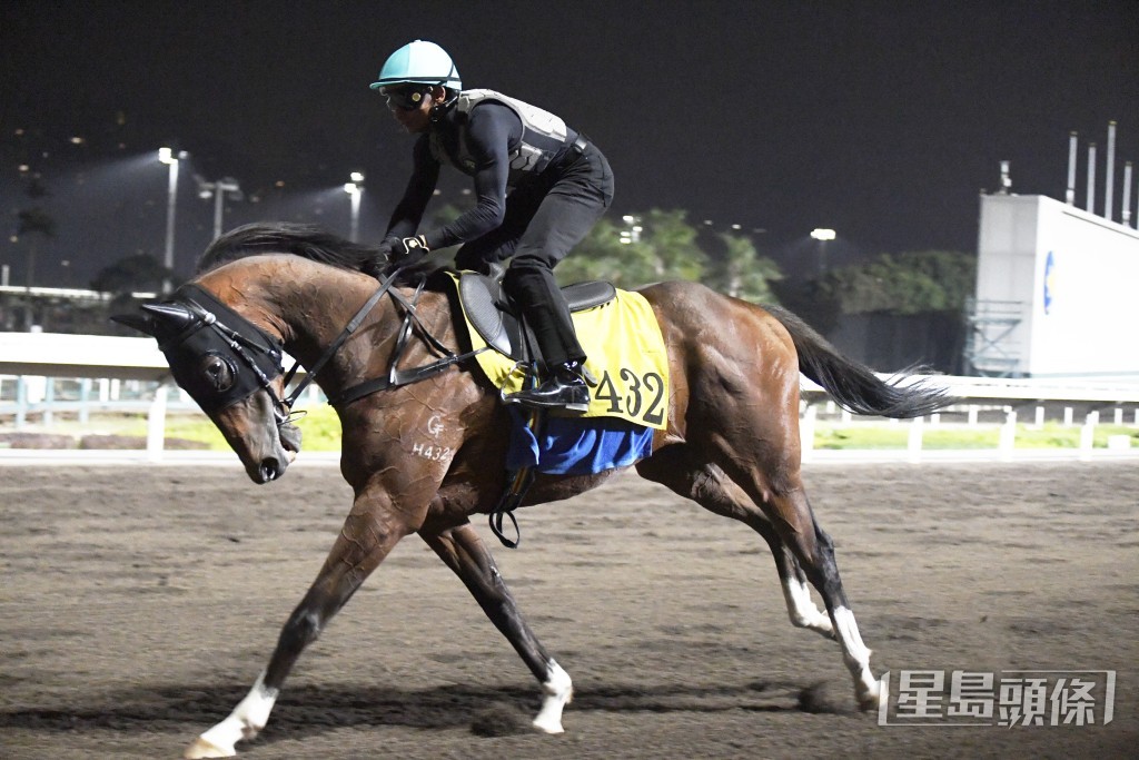「歡樂老撾」神態生猛力度又好，論態出色。