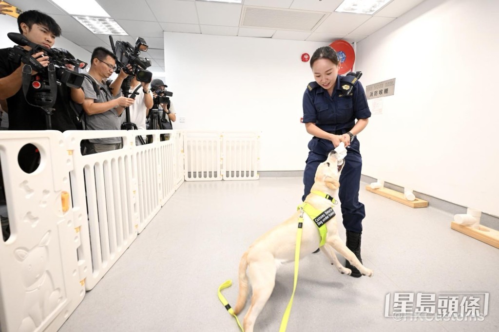 海關亦安排了搜查犬嗅查表演,讓市民親睹搜查犬BB如何學習嗅出目標物。海關FB 海關亦安排了搜查犬嗅查表演,讓市民親睹搜查犬BB如何學習嗅出目標物。海關FB
