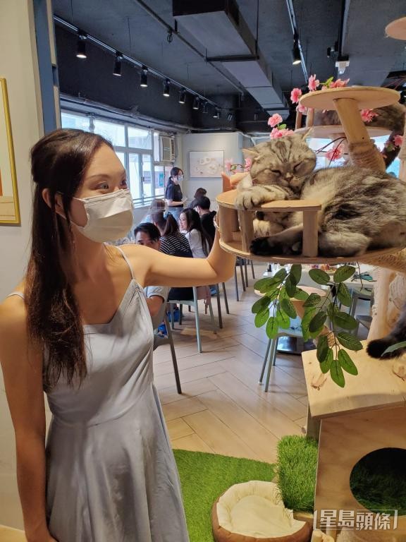 放假時,Eva會「扮靚靚」穿上連身裙,到貓cafe「打卡」。 放假時,Eva會「扮靚靚」穿上連身裙,到貓cafe「打卡」。