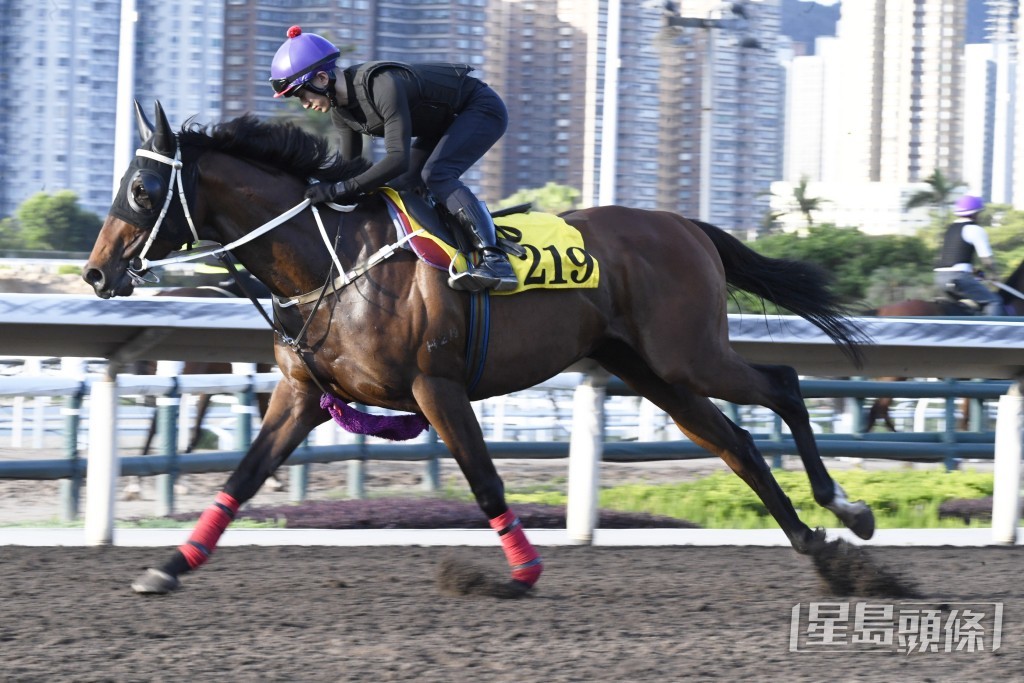 「快路」墜手有番活躍感，去番最佳時候。