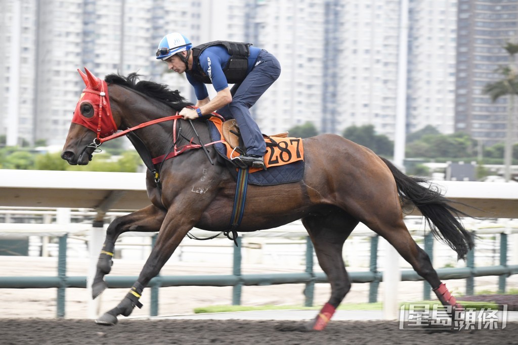 「文明戰士」步幅開得好闊又夠輕巧，雙目炯炯有神。