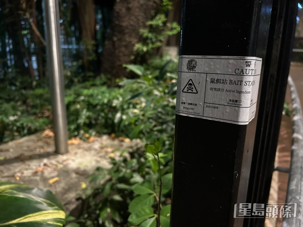 公園內已被放置老鼠藥餌。曾志恆攝