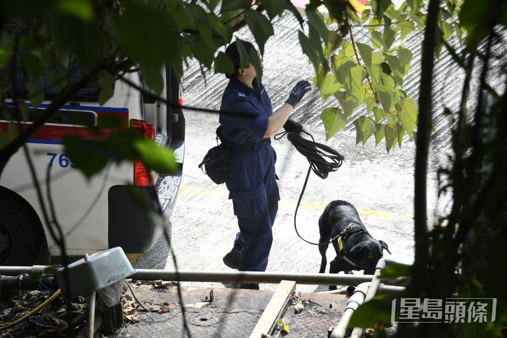 警犬队到场搜索贼踪。