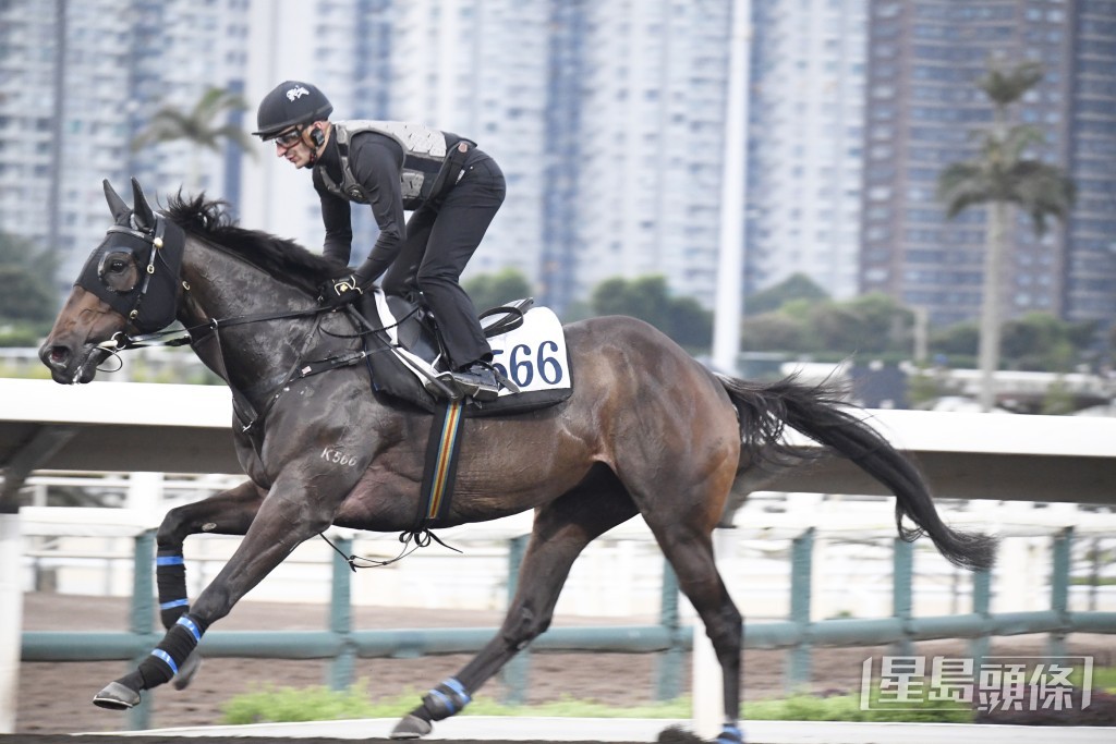 「穿甲金鷹」力度充足暗火湧現，勝後更上層樓。
