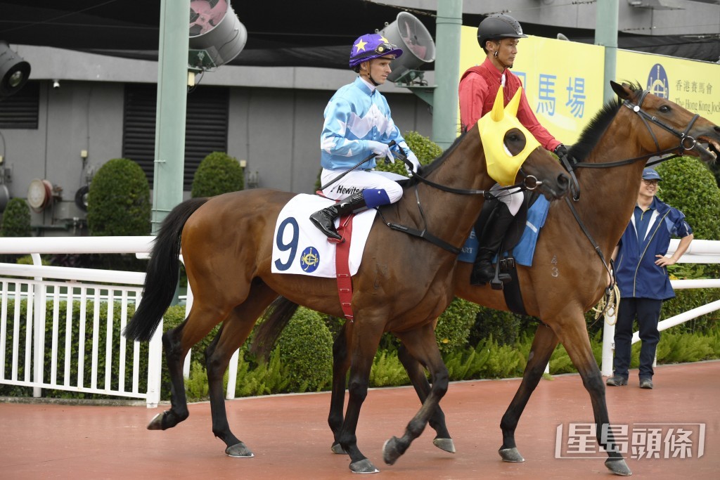 「怡昌奇兵」自季中轉投桂福特馬房後，至今四戰得兩亞一殿。