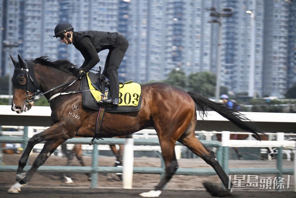 「好友心得」 「好友心得」