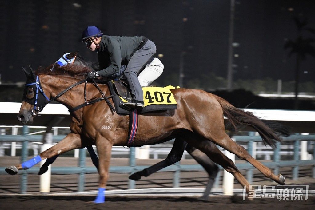 「勝多多」馬身好靚有肌肉，進度理想極具好感。
