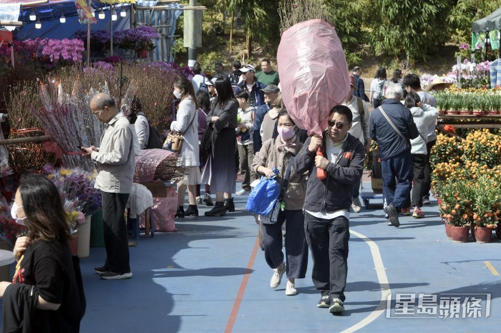 有花商指，不少市民選購年花，盼討得好兆頭。