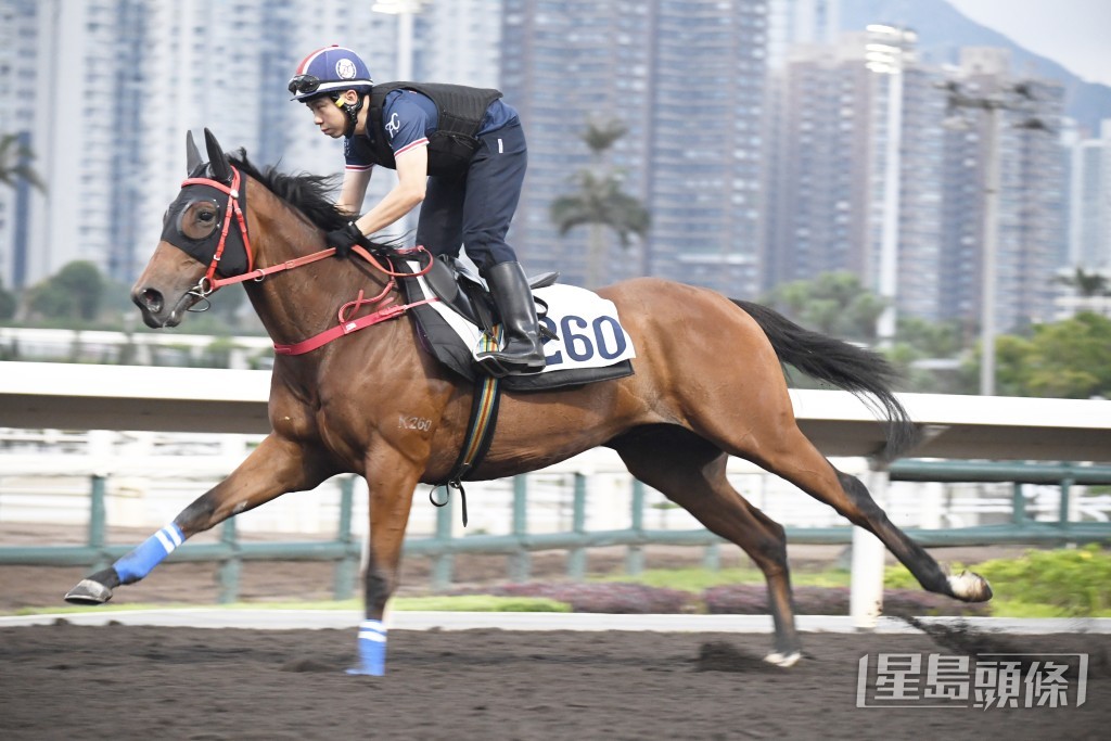 「超开心」成身肌肉劲度足够，前所未见勇锐。