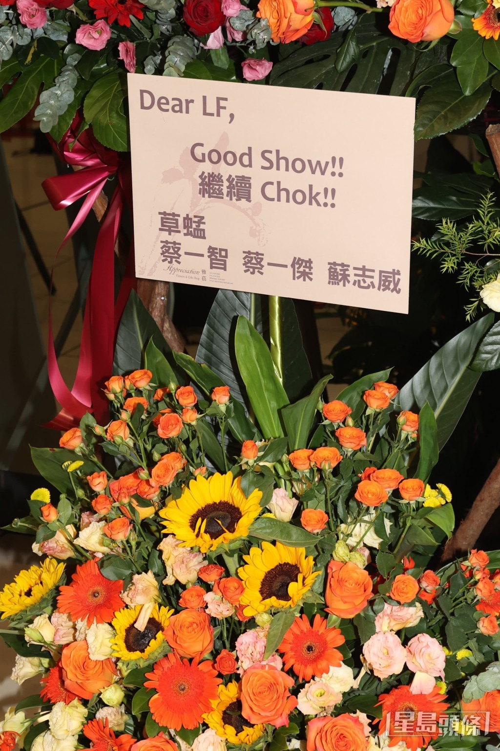 草蜢 草蜢