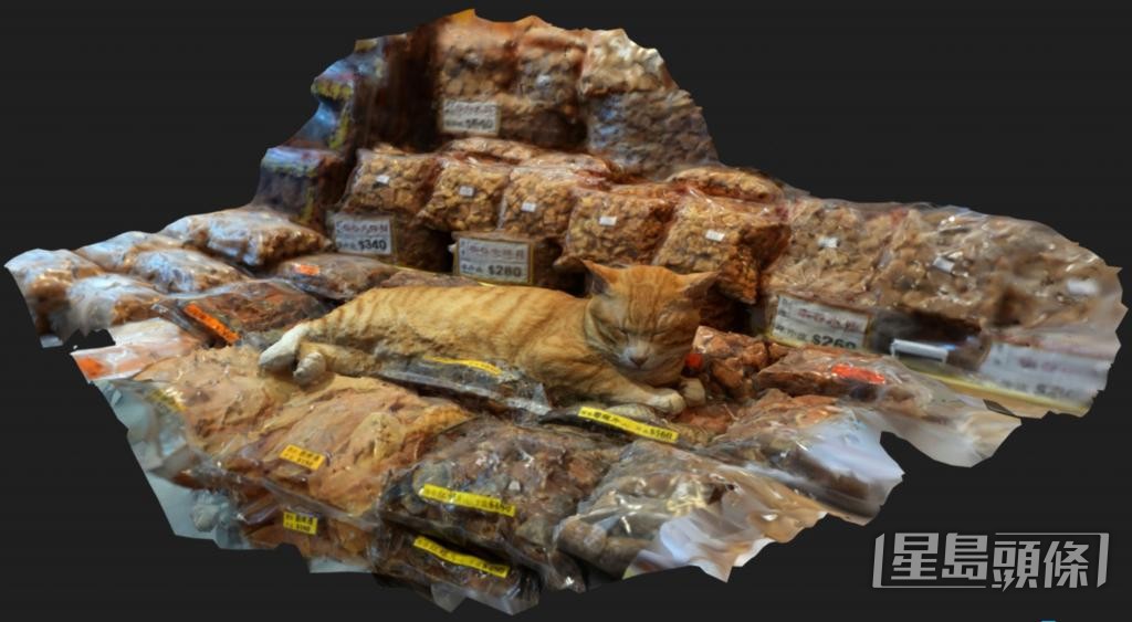圖為科大團隊製作的獨立三維物件之一,來自九龍城「金城海味」的貓。 受訪者提供 圖為科大團隊製作的獨立三維物件之一,來自九龍城「金城海味」的貓。 受訪者提供