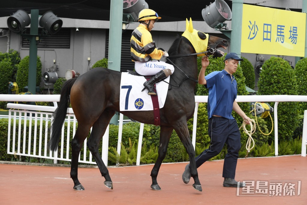 「團結戰靈」明晚原裝配搭再跑同程。