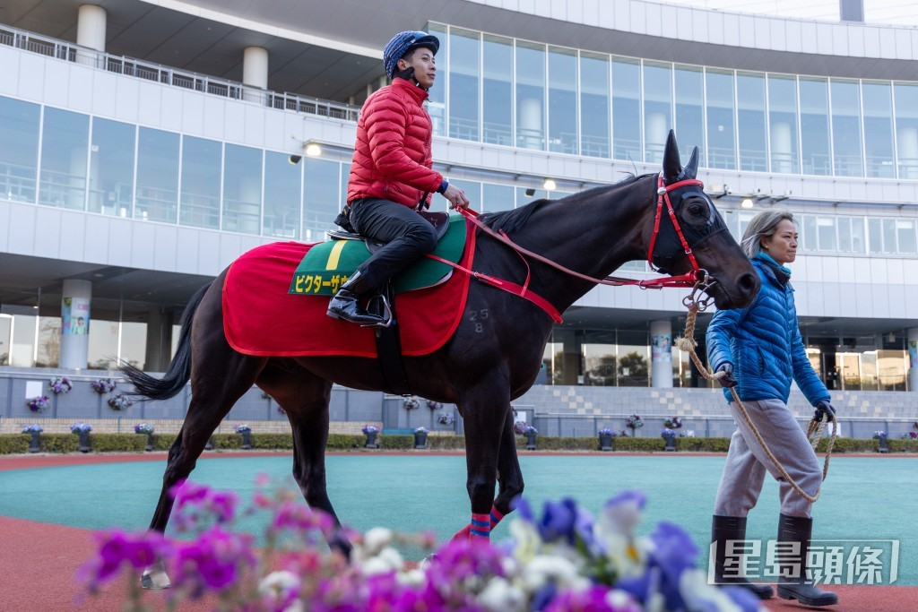 「維港智能」在梁家俊策騎下在中京競馬場亮相圈熟習環境。