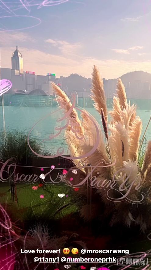 現場佈置美輪美奐。 現場佈置美輪美奐。