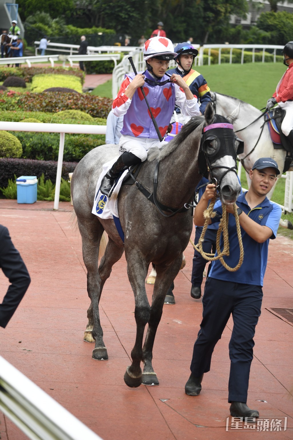 「精英雄心」今次转战泥地赛有望走入前列。