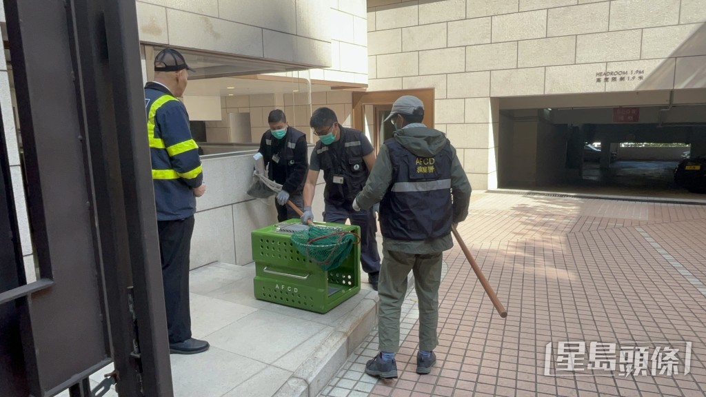 漁護署人員奉召到場。