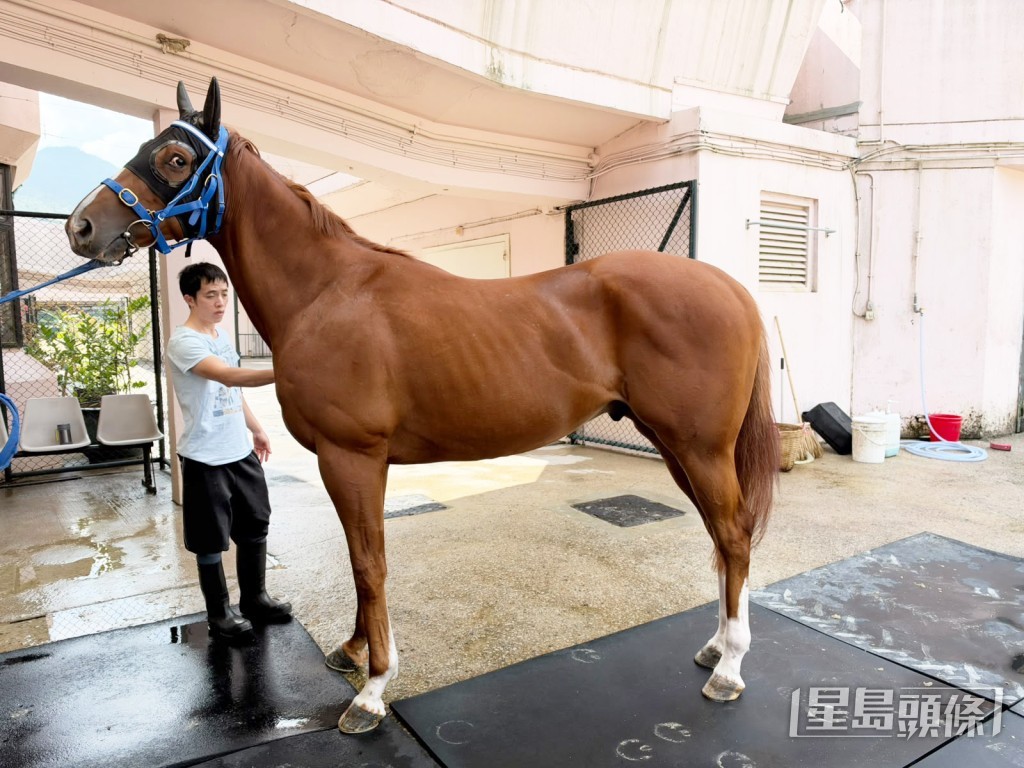 M212已抵方厩。 M212已抵方厩。