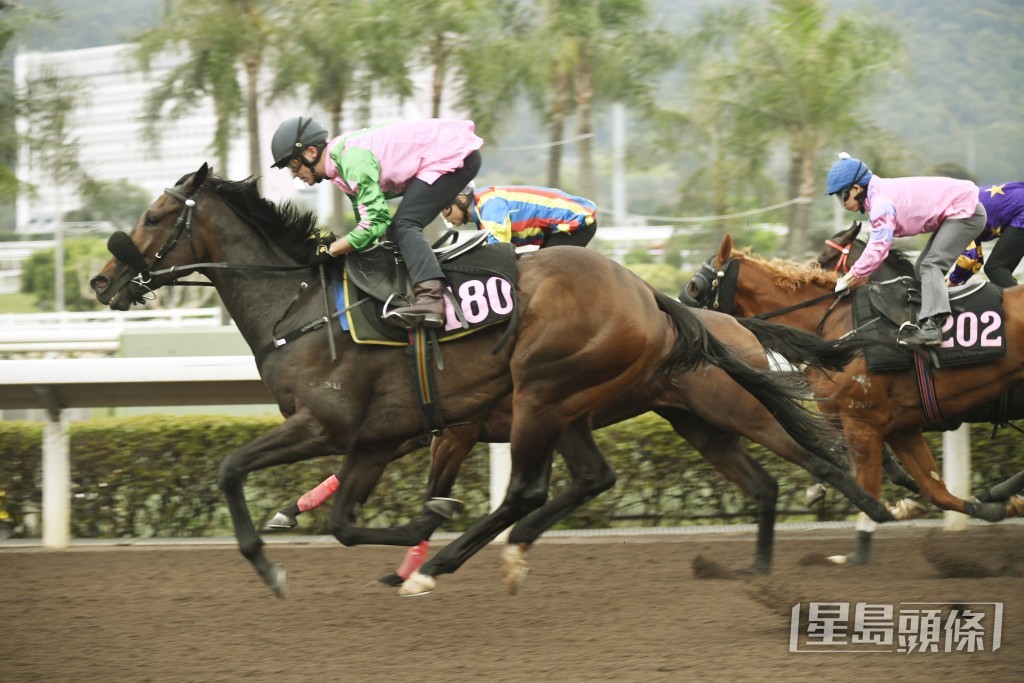 梁浩然的團體馬「友瑩仁」亦報爭周日三班千四米。