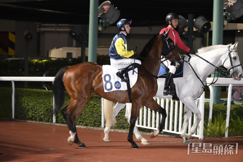 「天時明駒」今次排在有利內檔，可望爭取前列名次而回。