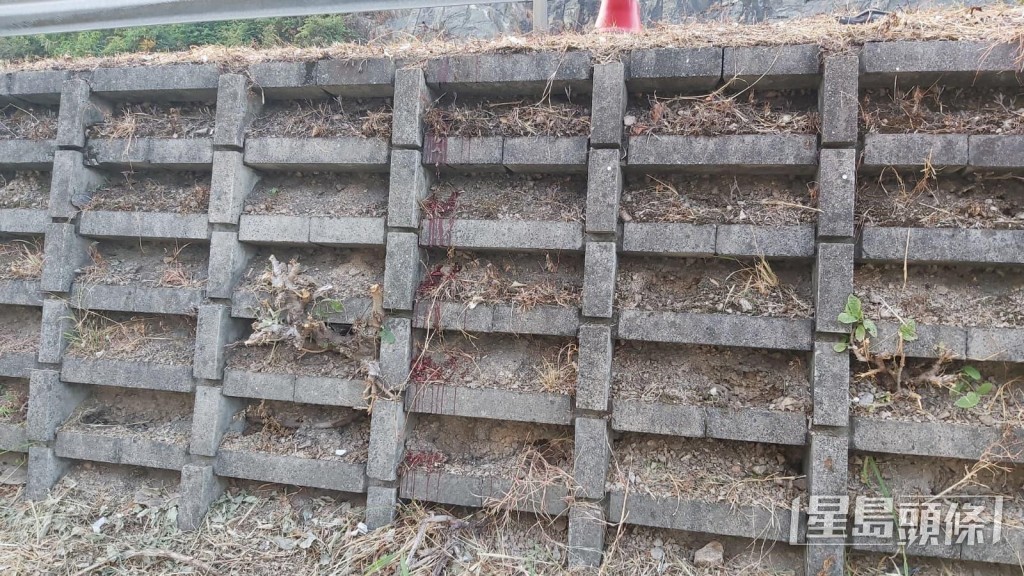 路邊草叢血跡斑斑，鮮血更流淌至草叢下方護土牆。