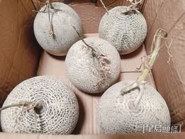 有網民上載了成功收貨的相片(帖文留言截圖) 有網民上載了成功收貨的相片(帖文留言截圖)