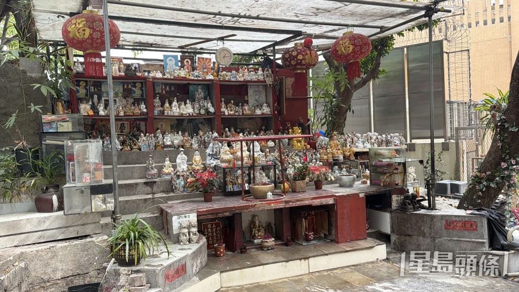 主教山附近一帶山坡及官地被人霸佔,設置乒乓球枱、健身器材及神壇等。 主教山附近一帶山坡及官地被人霸佔,設置乒乓球枱、健身器材及神壇等。